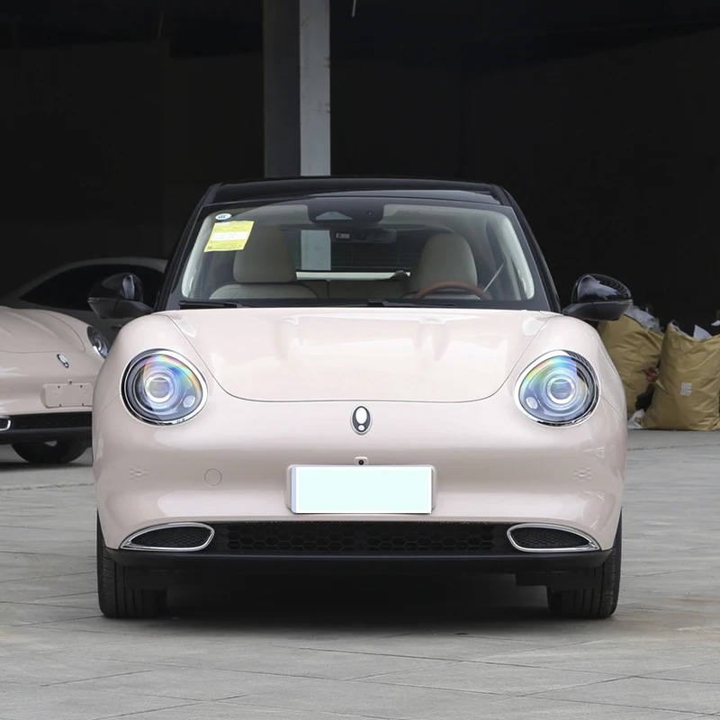 Used GWM Hot Sales Luxury minicar Fiat 500 couple Electric New Energy Vehicles For GWM Ora Good Cat 2023 401km