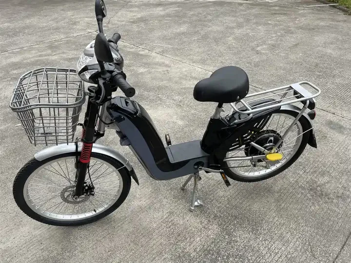 Cheap Electric Bike 48V 12Ah Electric Bicycle 350W Cargo Bike Cheap Bicicleta Electrica For Adults