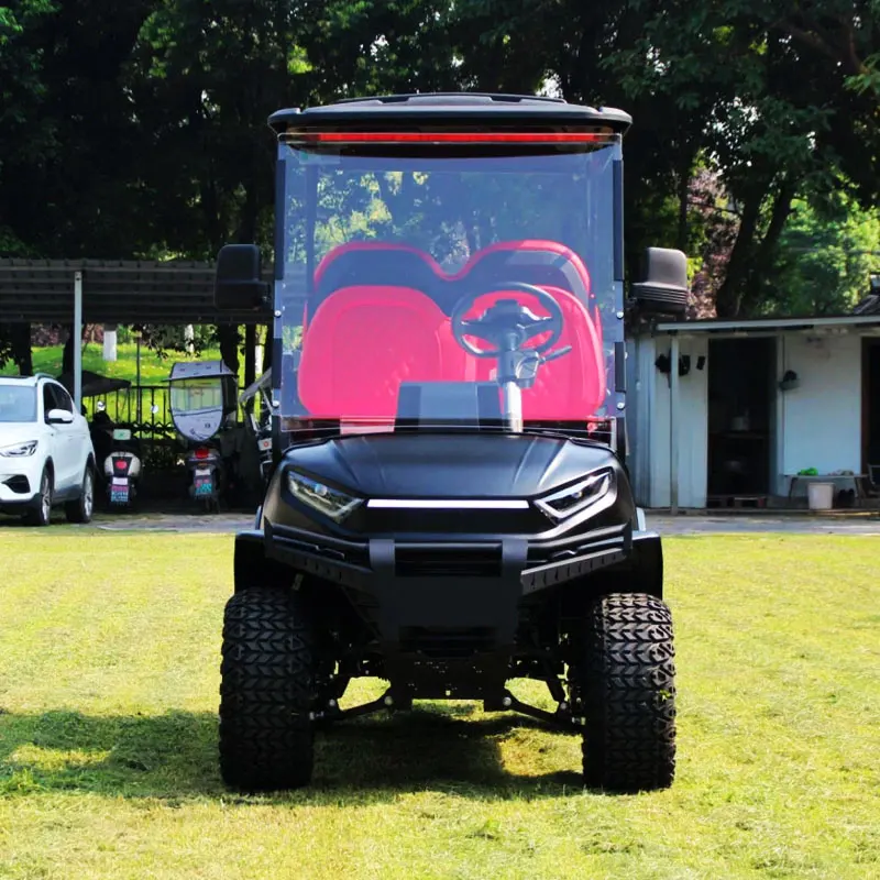 Custom 2 4 6 8 10 seater seat golf buggy cart nimi 48V 72V lifted electric 4x4 offroad off road hunting golf cart