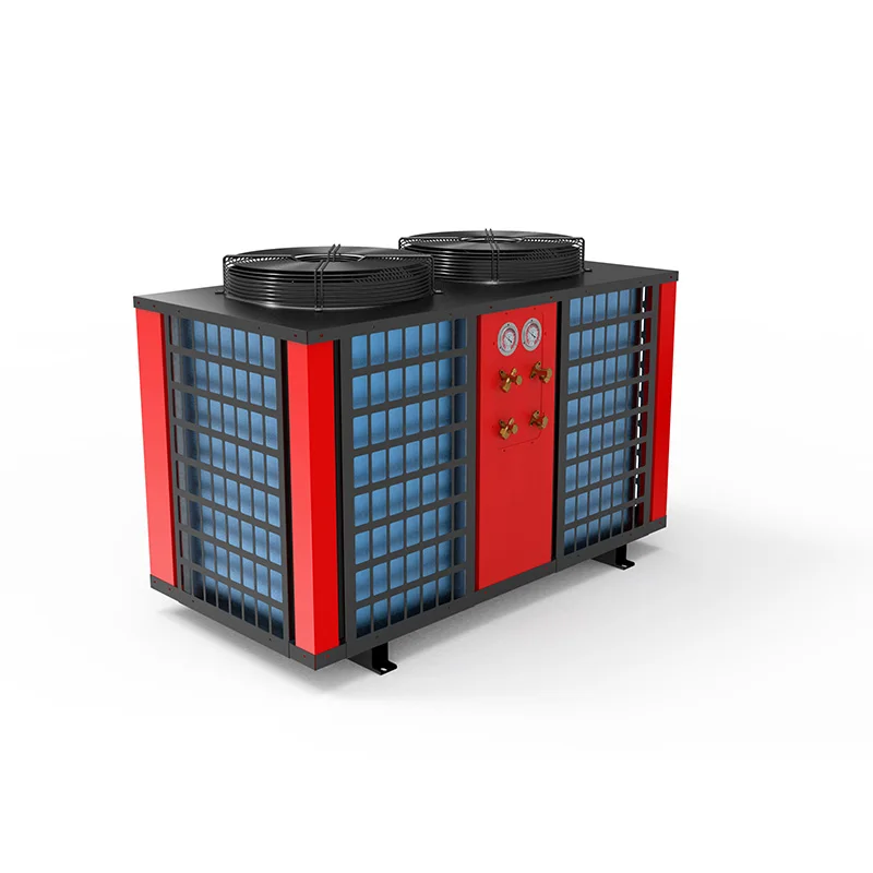 Hot Air Heat Pump Fruits Vegetables Raisin Grape Hot Air Heat Pump Drying Machine pecan dryer machine