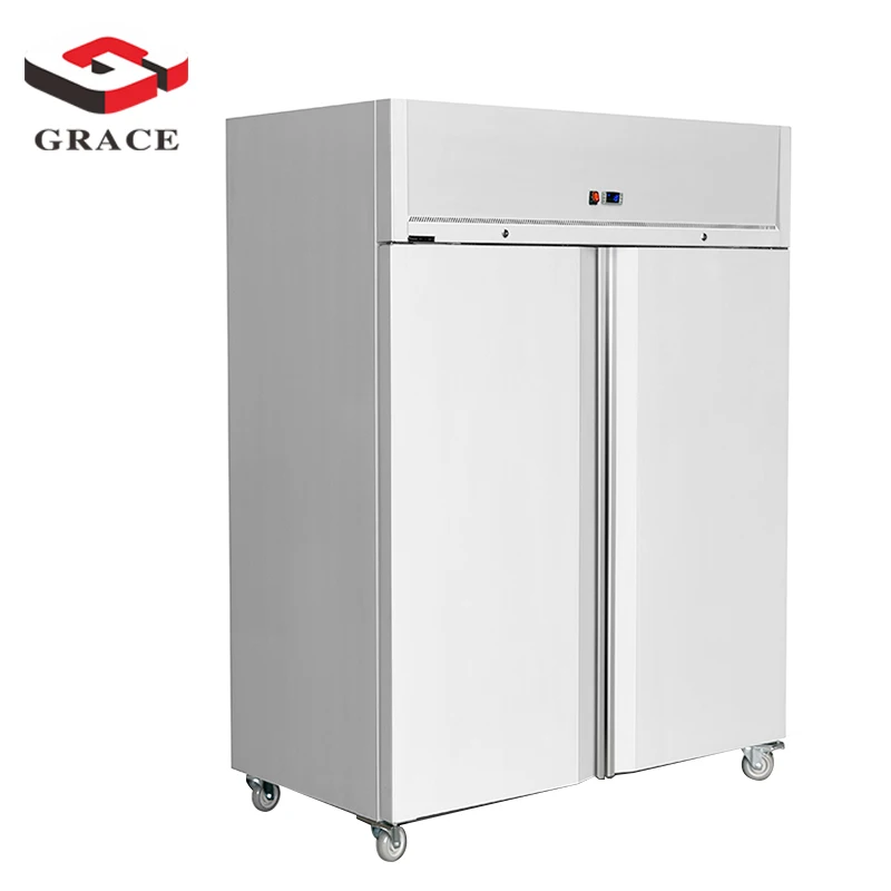 Роскошный вертикальный морозильник GRACE коммерческое оборудование для хранения пищевых продуктов Морозильный шкаф с 2 дверцами