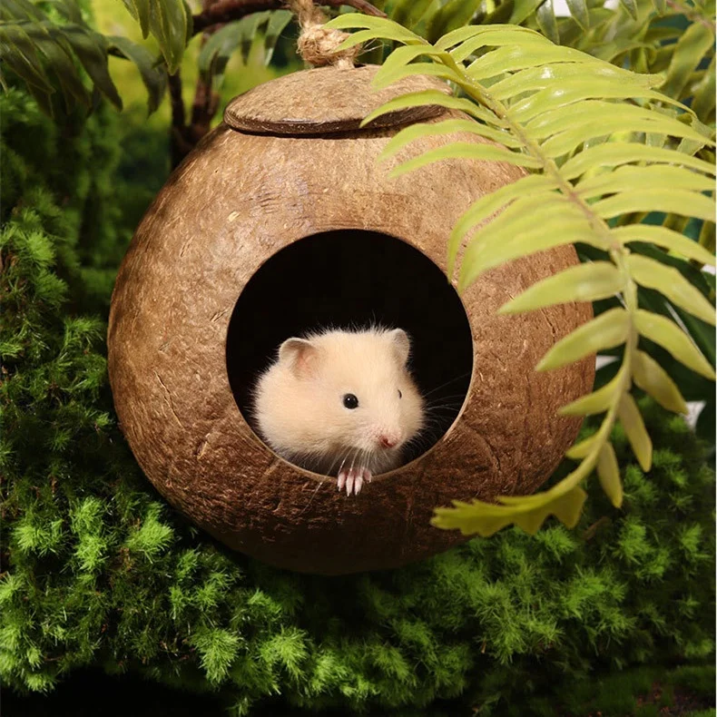 Handmade coconut shell hamster nest polished wooden shelter golden bear chinchilla parrot warm breeding bird nest