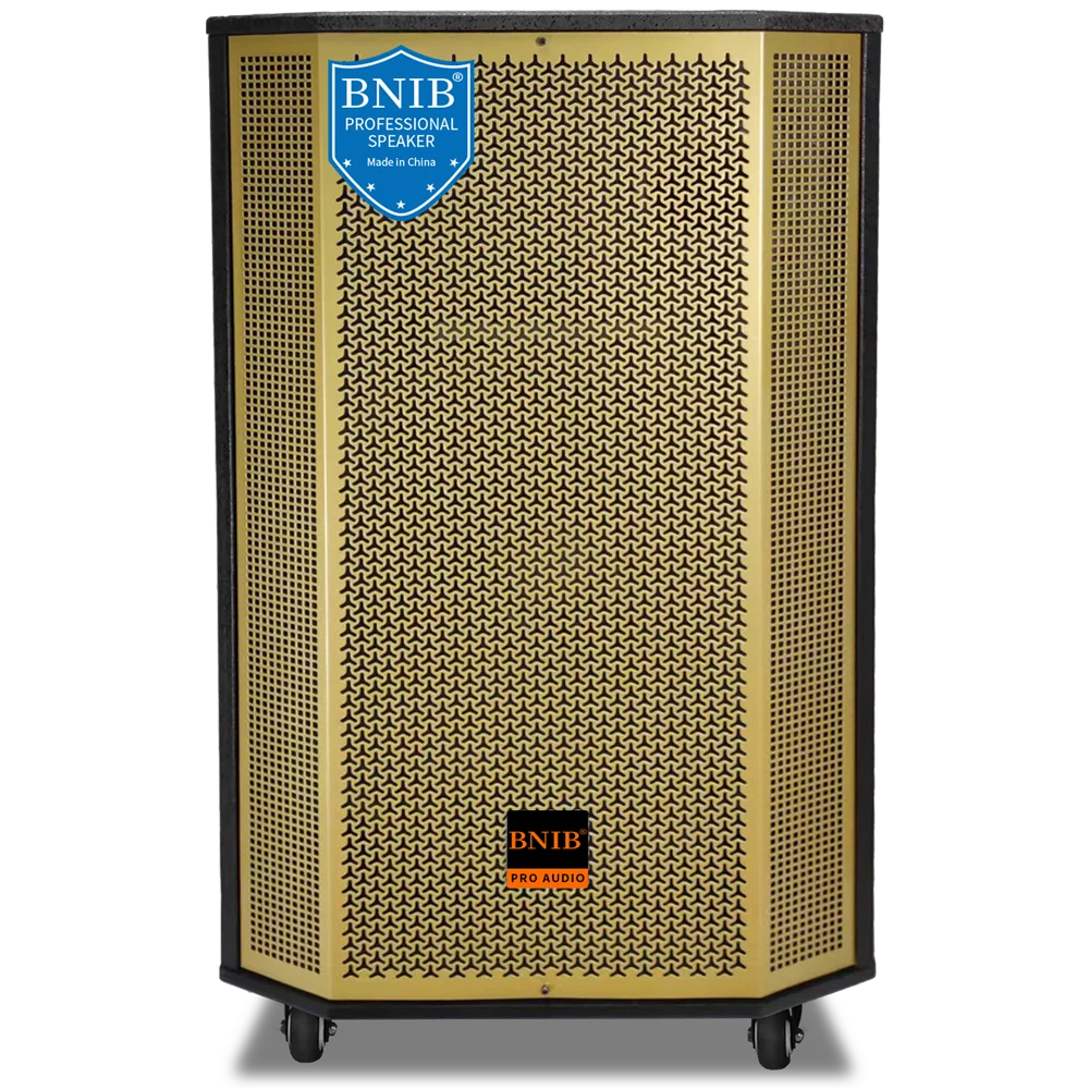 New 2022 Loa Bnib Powered Active Wooden Speakers 10 Inch Woofer Speaker Price Speaker Stage Wireless For Party