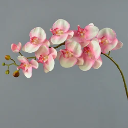 Real touch Environmentally Friendly Plastic phalaenopsis orchids live plant
