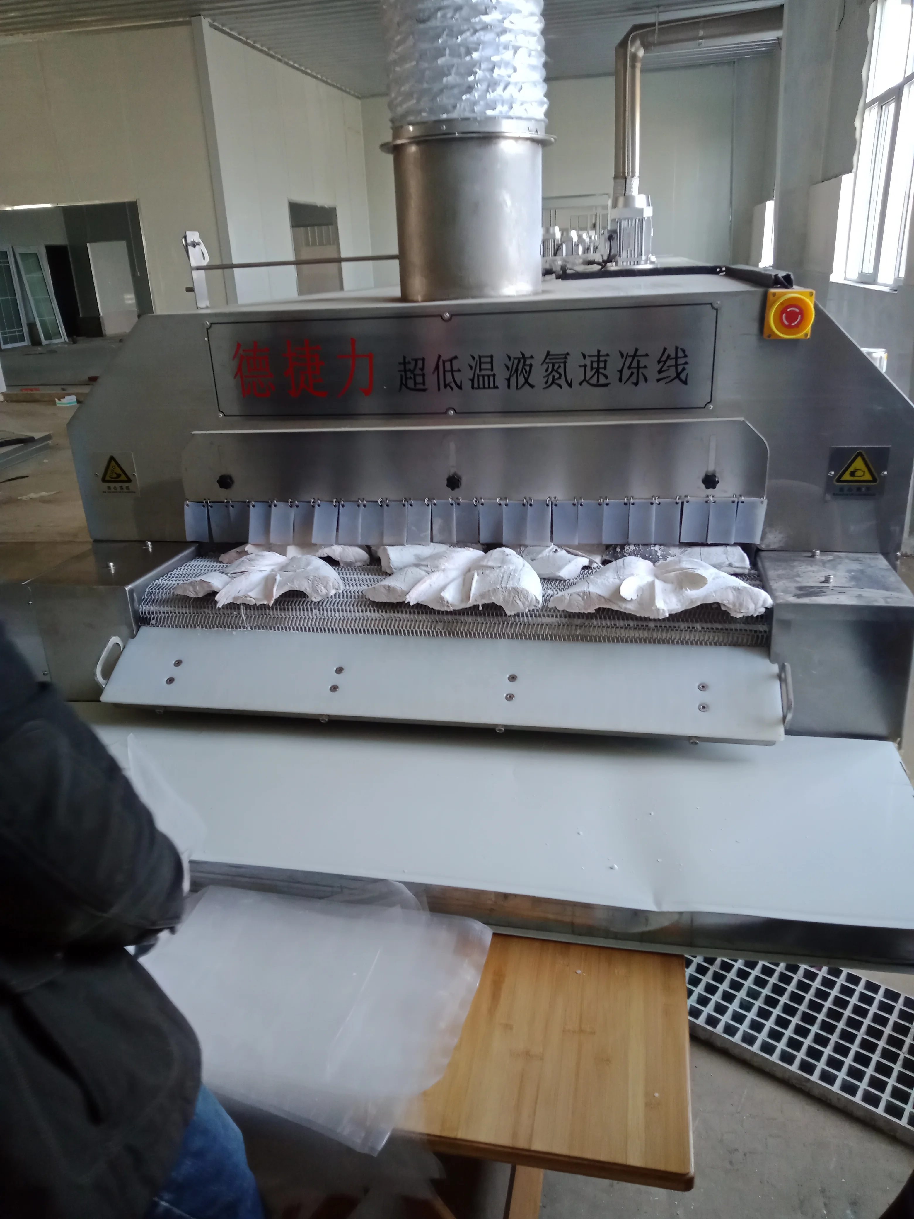 DJL china made individual quick freezing liquid nitrogen tunnel freezer for fish head
