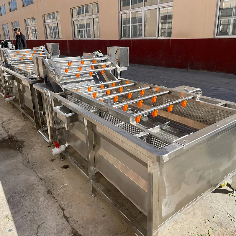 Industrial Air Fruit Bubble Washing Machine Bubble Washer Machine