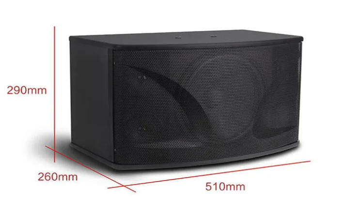Professional family KTV audio 10 inch conference dance room karaoke home speaker