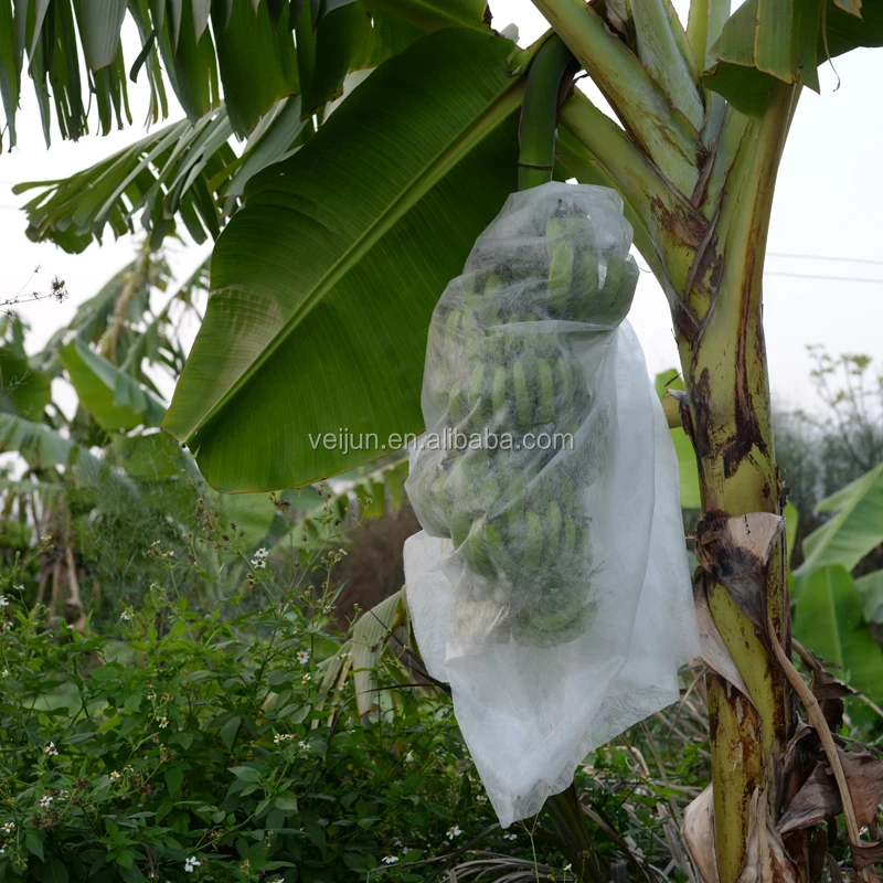 
17gsm greenhouse 30g super wide agriculture nonwoven fabric Capillary Matting Other types of covers 