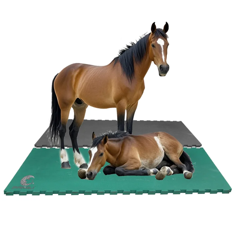 Good insulation EVA Horse sleeping Mat easy cleaning Livestock enclosures mat Prevention of mastitis Horse floor mats for sale