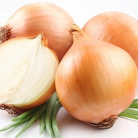 
Top seller fresh yellow onion in bulk 
