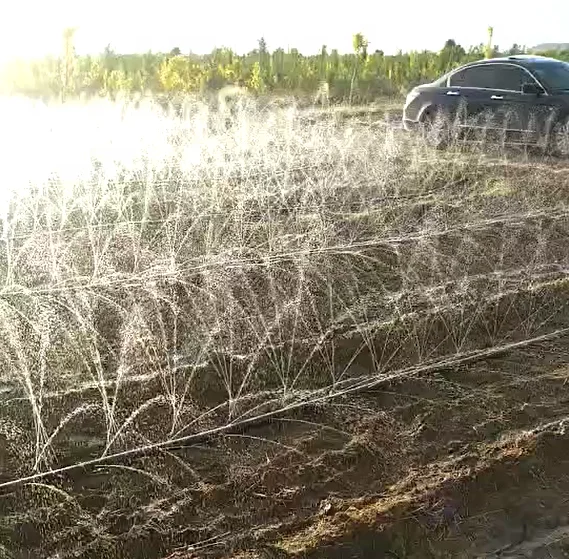 20-75mm Rain hose /Rain Spray Tape for Agriculture irrigation