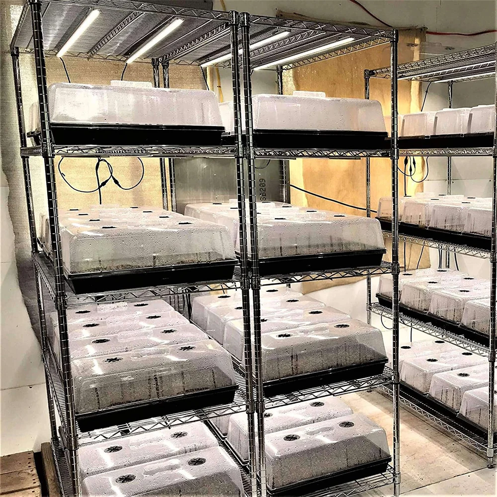 Seedling Seed Plant Tree Bed Growing Plastic 1020 Nursery Trays Seedlings Trays With Lids