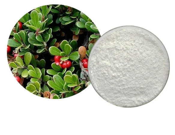 Factory supply 99% up alpha-arbutin skin whitening alpha arbutin powder