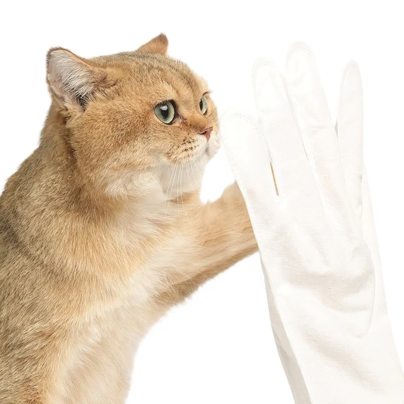 Source factory custom Super Soft Non-woven Material OEM pet gloves wet cleaning wipes