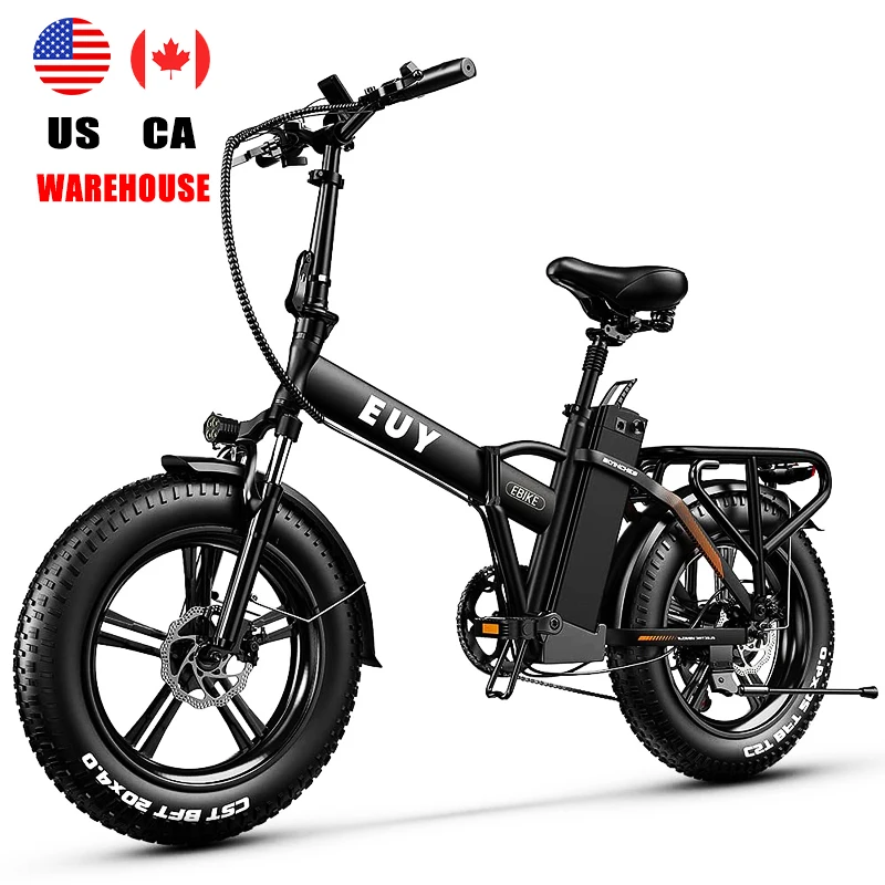 Ce Rear Hub Motor Aluminum Alloy Brushless Suspension 48V  Lithium Battery Electric Bike Retro Fat Tire Folding Electric Bicycle