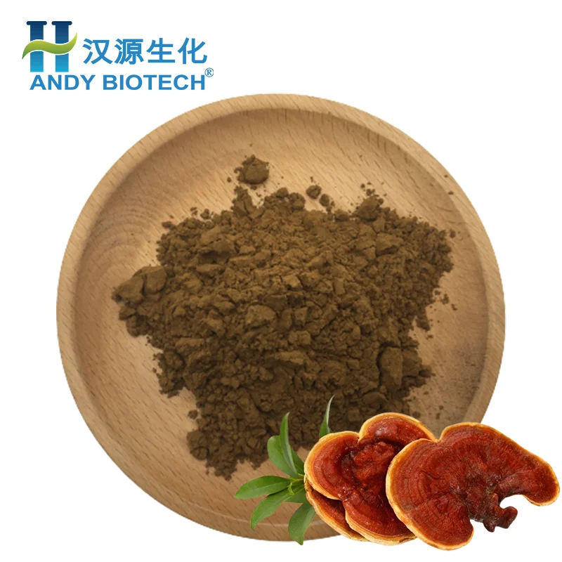 Pure Organic 10% 20% 30% 40% 50% Polysaccharide Ganoderma Lucidum Mushroom Powder Lucidum Reishi Mushroom Supplement Extract