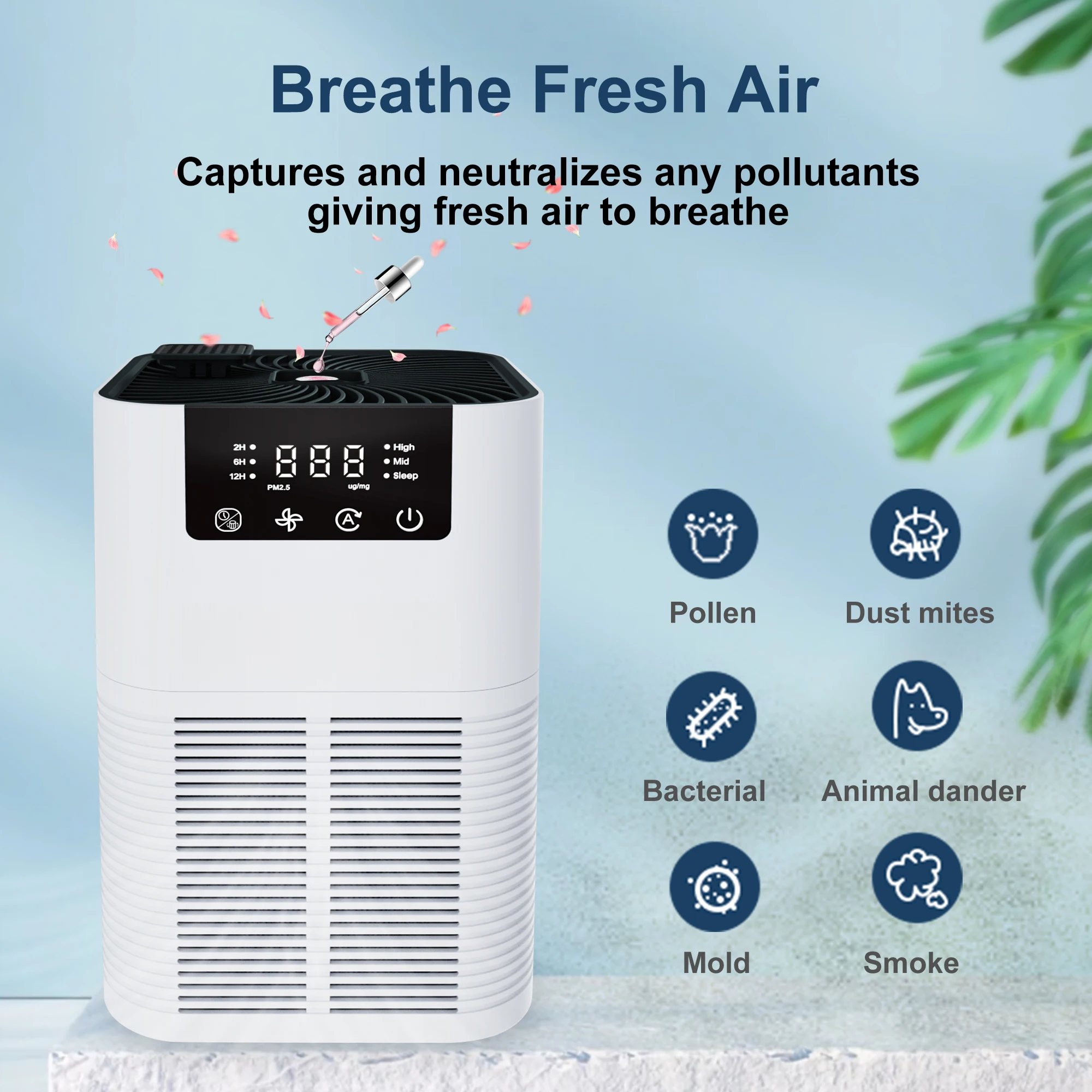 Best Selling Factory OEM  & ODM CARB Approval Ozone Free Intelligent Activated Carbon Air Purifier Good for Smoke AllergyPerson