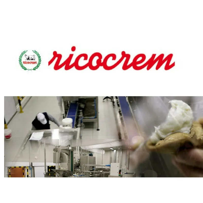 Высокое качество сладкая овечья Рикотта крем замороженный итальянский вкус 6 кг 140 шт. ковш для