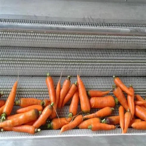 New Style Brush Roll Vegetable Cleaning Peeling Machine Carrot/Potato Washing Machine