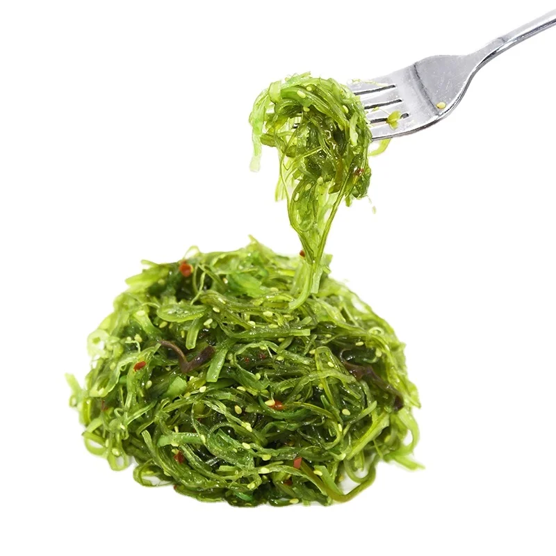 Best quality fresh wakame fresh wakame seaweed