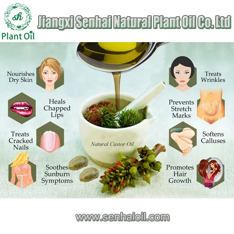 China Best Manufacturer Castor Oil Manufacturers Supply Best Castor Seed Price Black Castor Oil