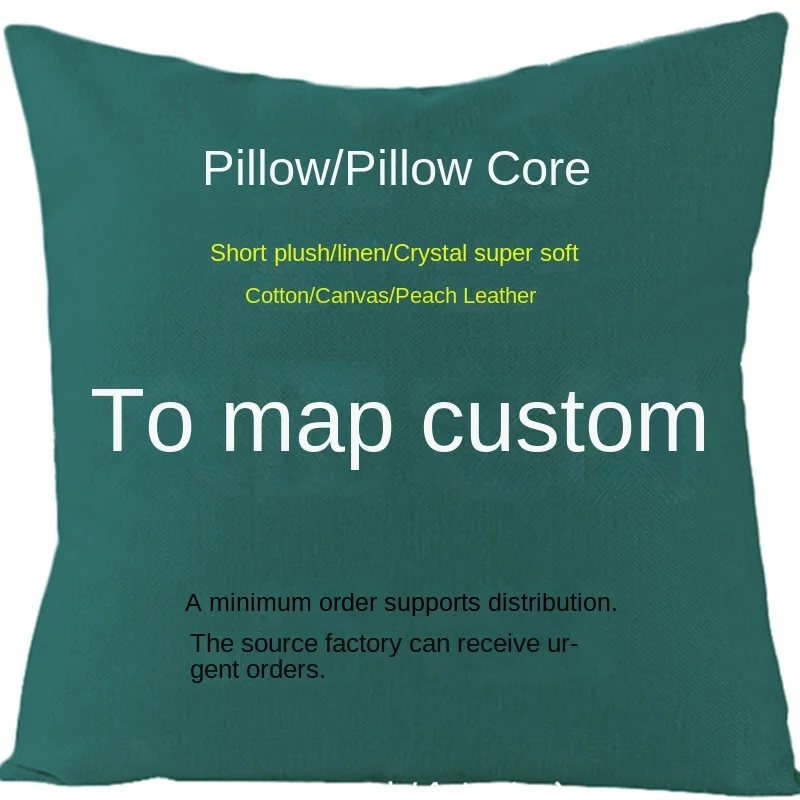 Custom sofa pillow Provide any size or picture digital printing home textile products