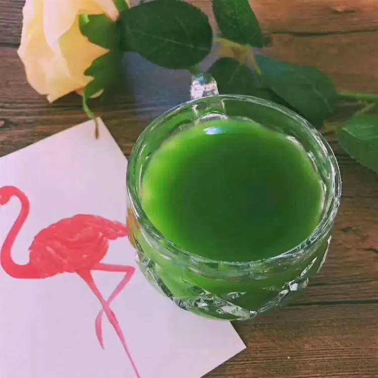 Free Samples Matcha Japanese Style Pure Matcha Japanese Matcha Tea