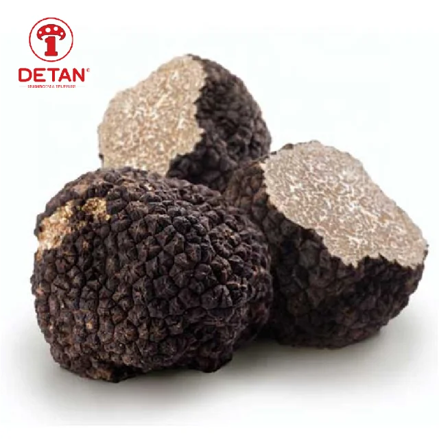 Natural Truffle Mushroom Chinese Wild Fresh Black Mushroom Truffle