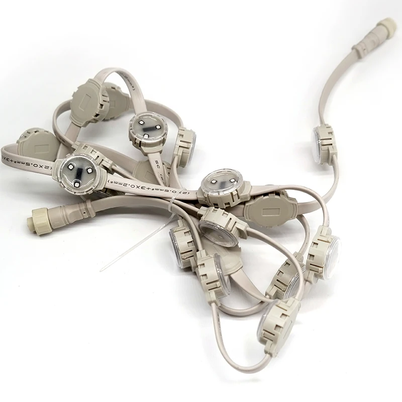 IP68 30mm Smd3535 12V Auto Programmable RGB/RGBW LED Point Lights for Indoor Outdoor Landscape Pixel Lighting for Amusement