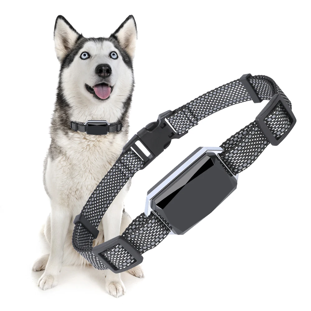 Factory OEM G58 Pet GPS Tracker 4G Waterproof 2000MAh Long Duration Real Time Dog Activity Monitoring & Tracking Collar Device