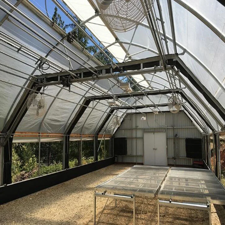 Low cost Galvanized steel Frame Single span PE Film Agriculture Tunnel greenhouse for flowers plant