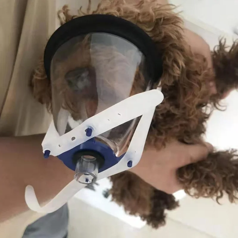 Veterinary Equipment PVC Disposable Sterile Dog Cat Pet Anesthesia Breathing Cups Animal Oxygen Mask Anesthesia Veterinary Mask