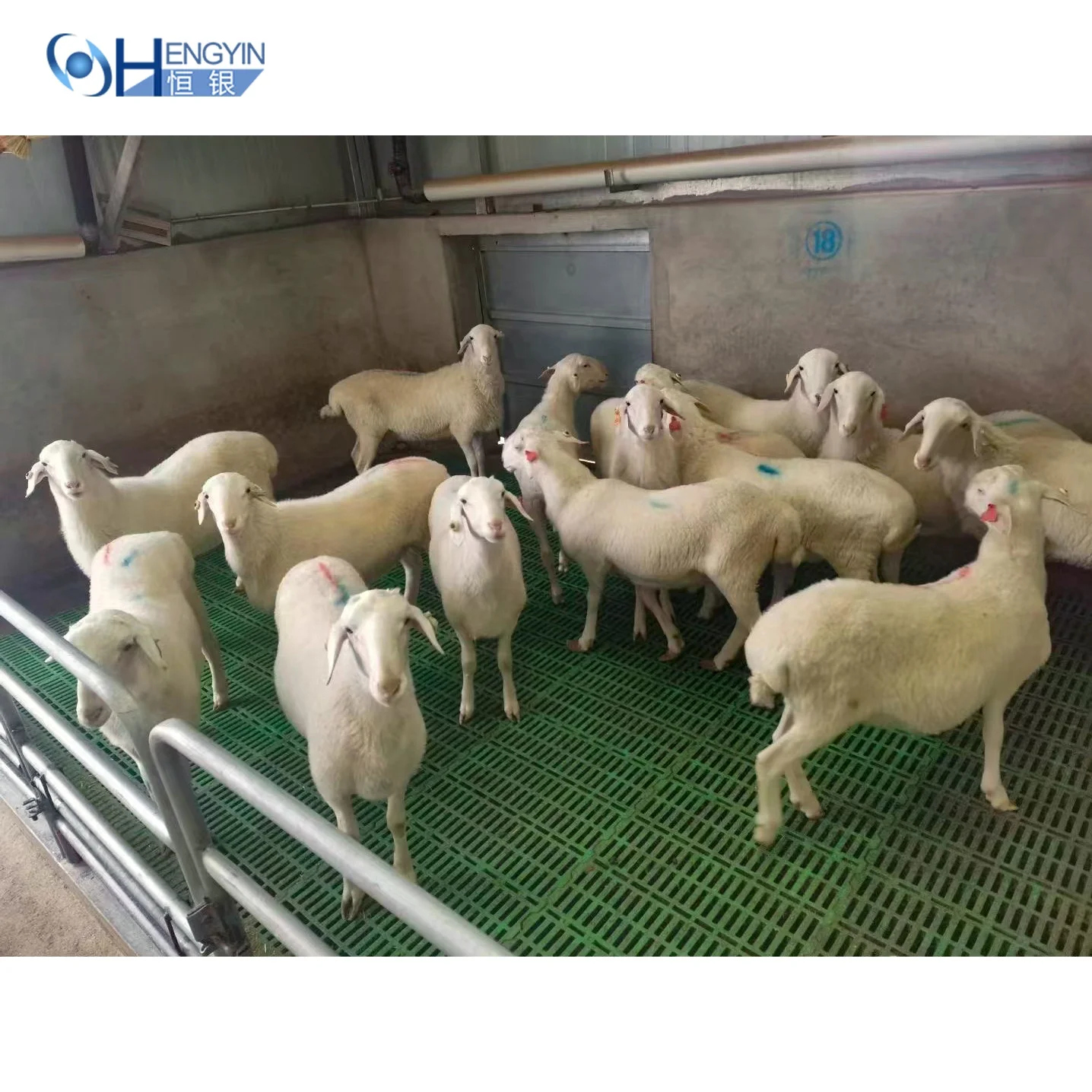 Factory Direct Sale OEM  Massive production sample free plastic slatted floor for goat sheep farming plastic floors for pigs