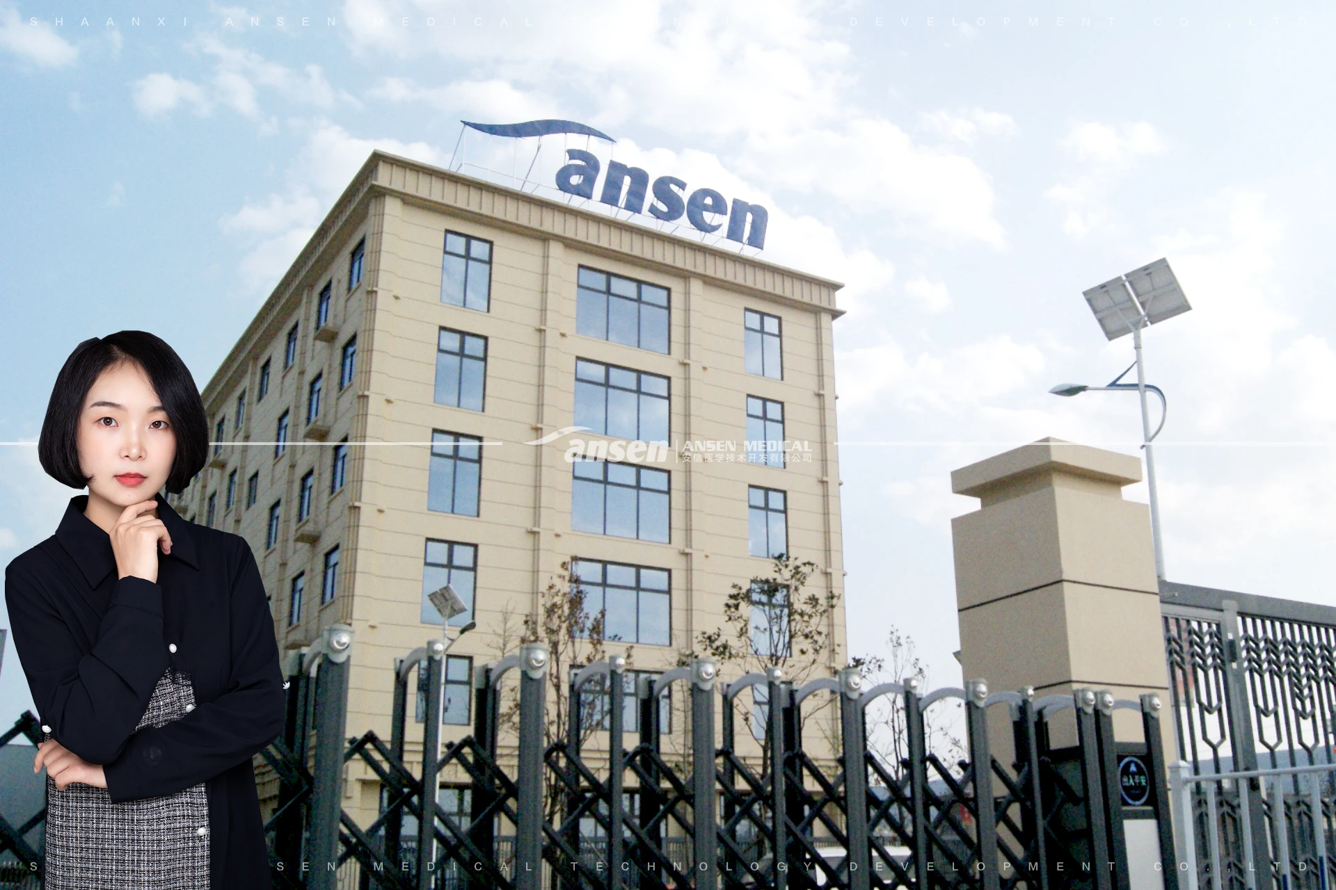 ansen repair bandage