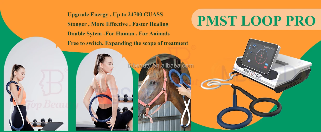 Pemf Mat Loop Pulsed Electromagnetic Field Pemf Equine Pmst Loop Pro Max Magnetic Therapy For Body Pain Recovery Machine