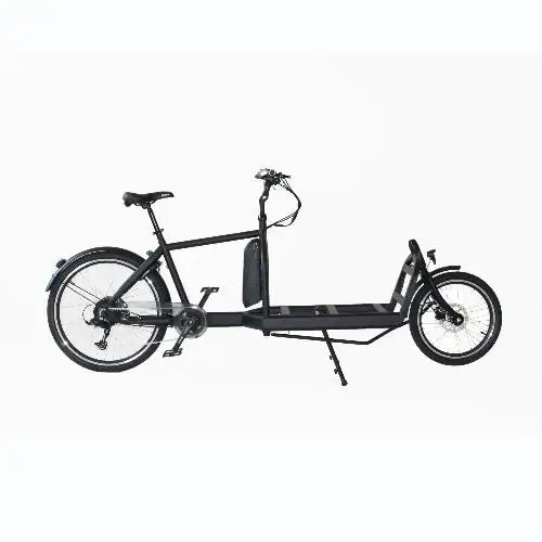 7 speeds electric cargo bike  2 wheels cargo bike family cargo bike
