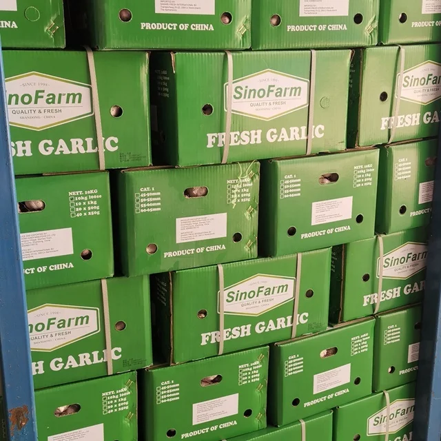 New Normal White Fresh Garlic 10kg Carton From Chinese Garlic Wholesale Supplier Export Price