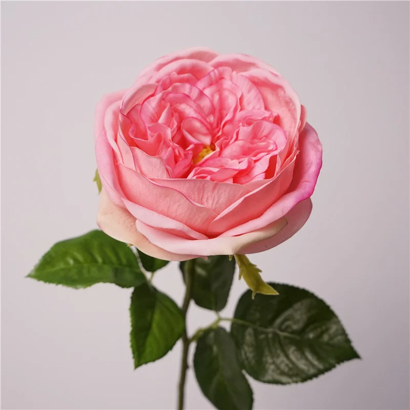 Wholesale Real Touch Rose Single Stem Artificial Austin Pink Rose for Home Wedding Flower Arrangements