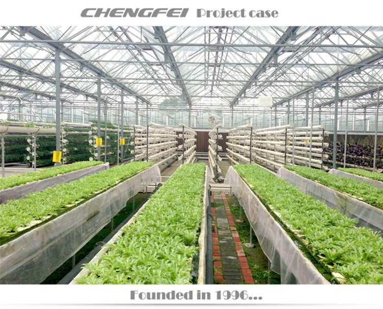 8m/9.6m/10.8m/12m/16m Span Glass Green Houses Agriculture Commercial Spain Large Green House