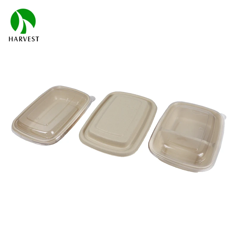 2 compartments food packaging sugarcane bagasse pulp box