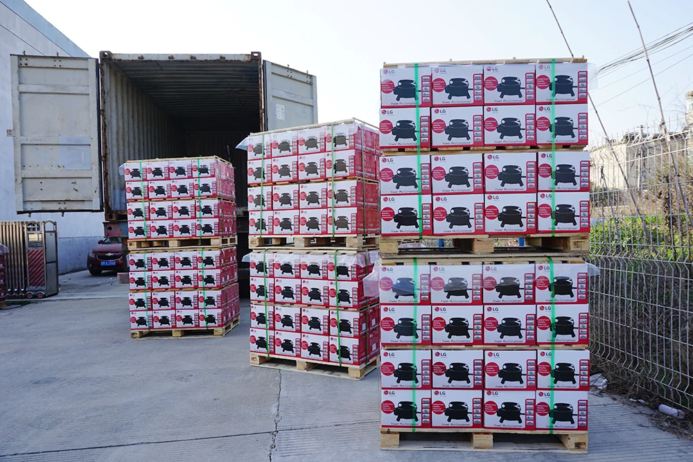 LG Electronics Manufacture Supply Reciprocating Refrigerator Freezer Compressor CMA057LHEG 1/5HP