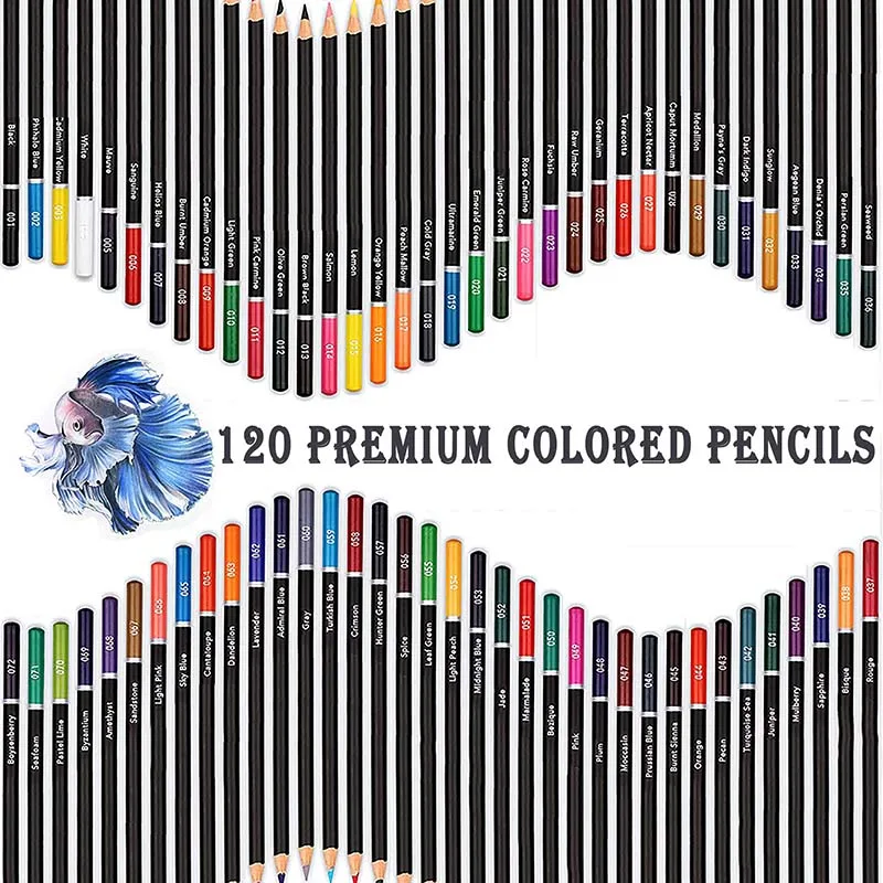 LISI Customized 145pcs Professional Drawing Sketch Pencil Set Wooden Charcoal Pencil Sketching Set For Sketch and Draw