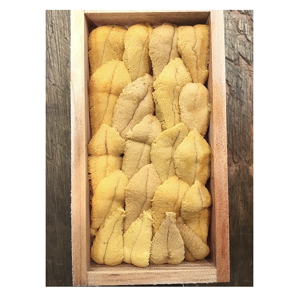 
Japan high quality shipping wholesale live seafood potential fish 