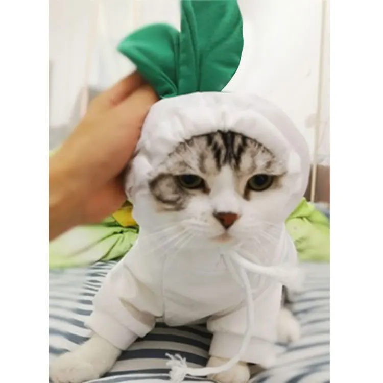 Designer clothing for dogs cat clothes cute clothes for cats and dogs