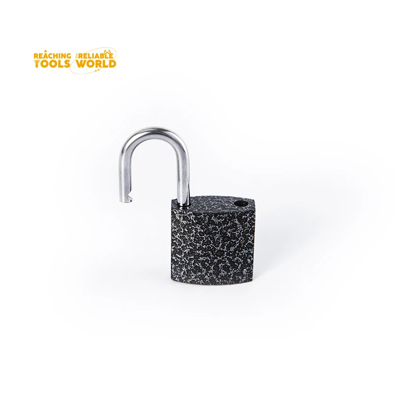 DingQi Padlocks Wholesale Iron 25 Mm Iron Padlock Safety Padlocks