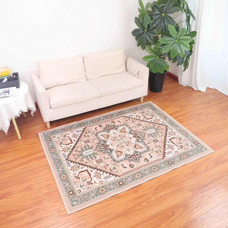 Modern Chinese Living Room Carpet Simple Bedroom Decoration Area Rug Large Absorbent Non-slip