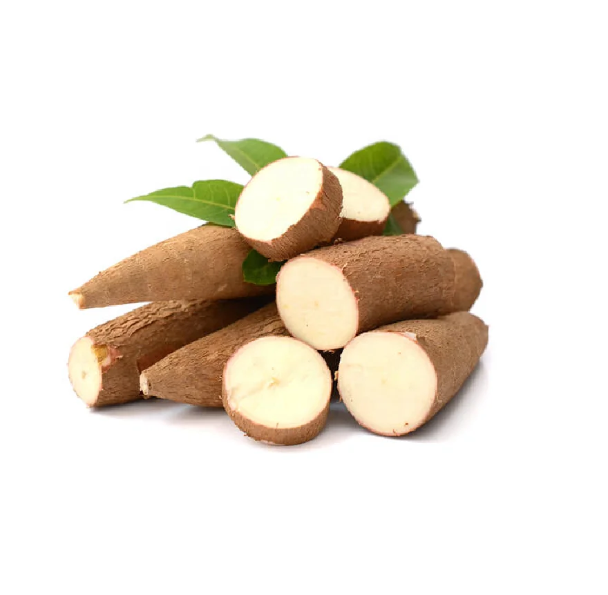 Hot sale Tapioca Chips Slice Cassava Dried Organic Cassava For Food Cassava Product custom accepted