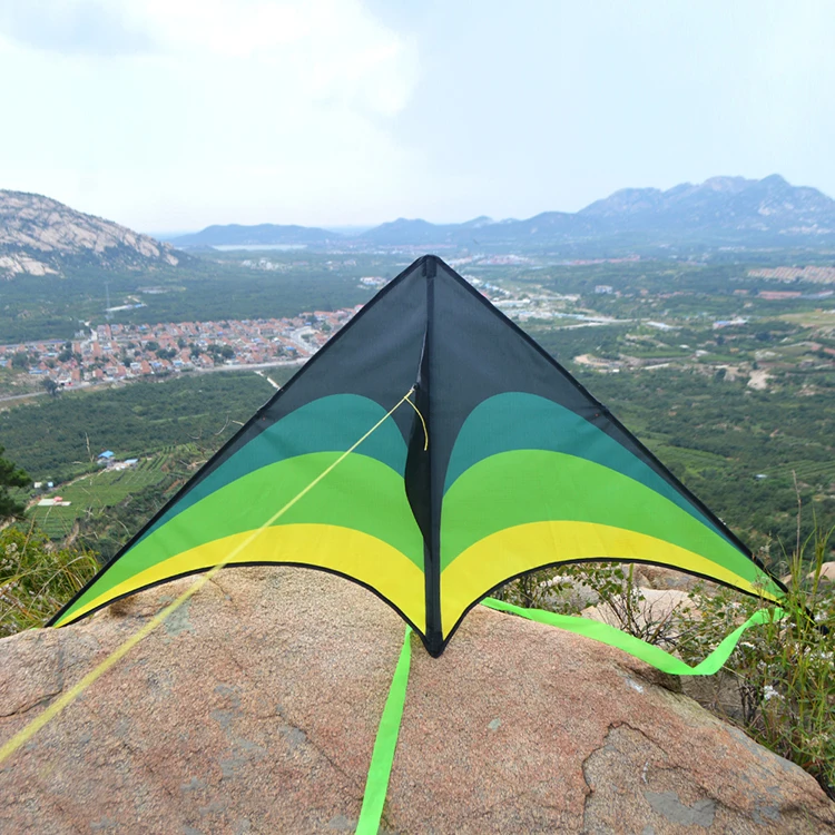 Outdoor Sport Hot Sale Flying Foldable Delta Kite from Chinese Kite Factory