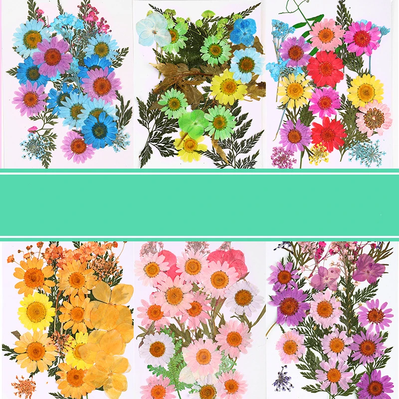 Dry Flower Embossing Material Package Handmade Diy Paper Making Embossed Flower Bookmark Embossed Gypsophila Dried Flower Plant