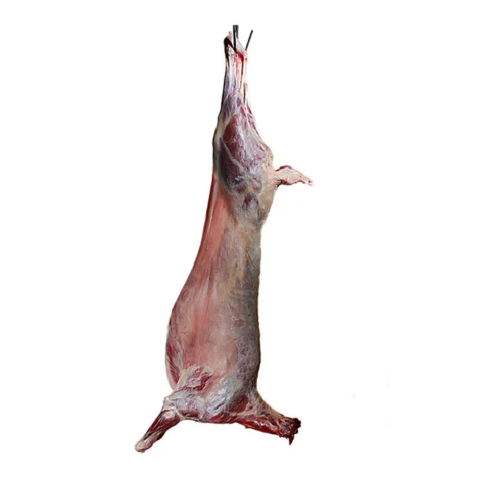 From Kazakhstan NATURE mutton meat frozen lamb carcass halal